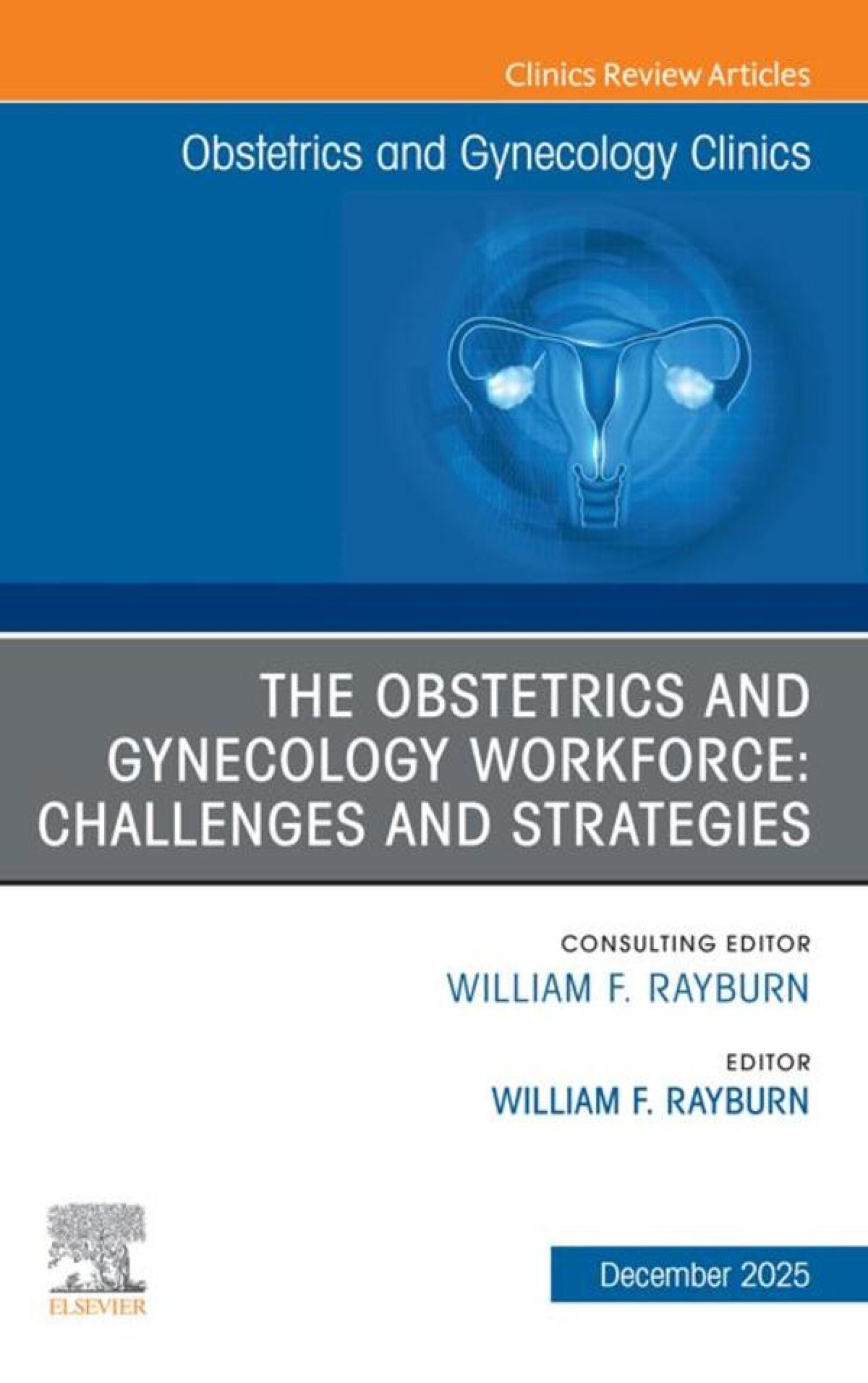 The Obstetrics and Gynecology Workforce: Challenges and Strategies, An Issue of Obstetrics and Gynecology Clinics of North America (EPUB)