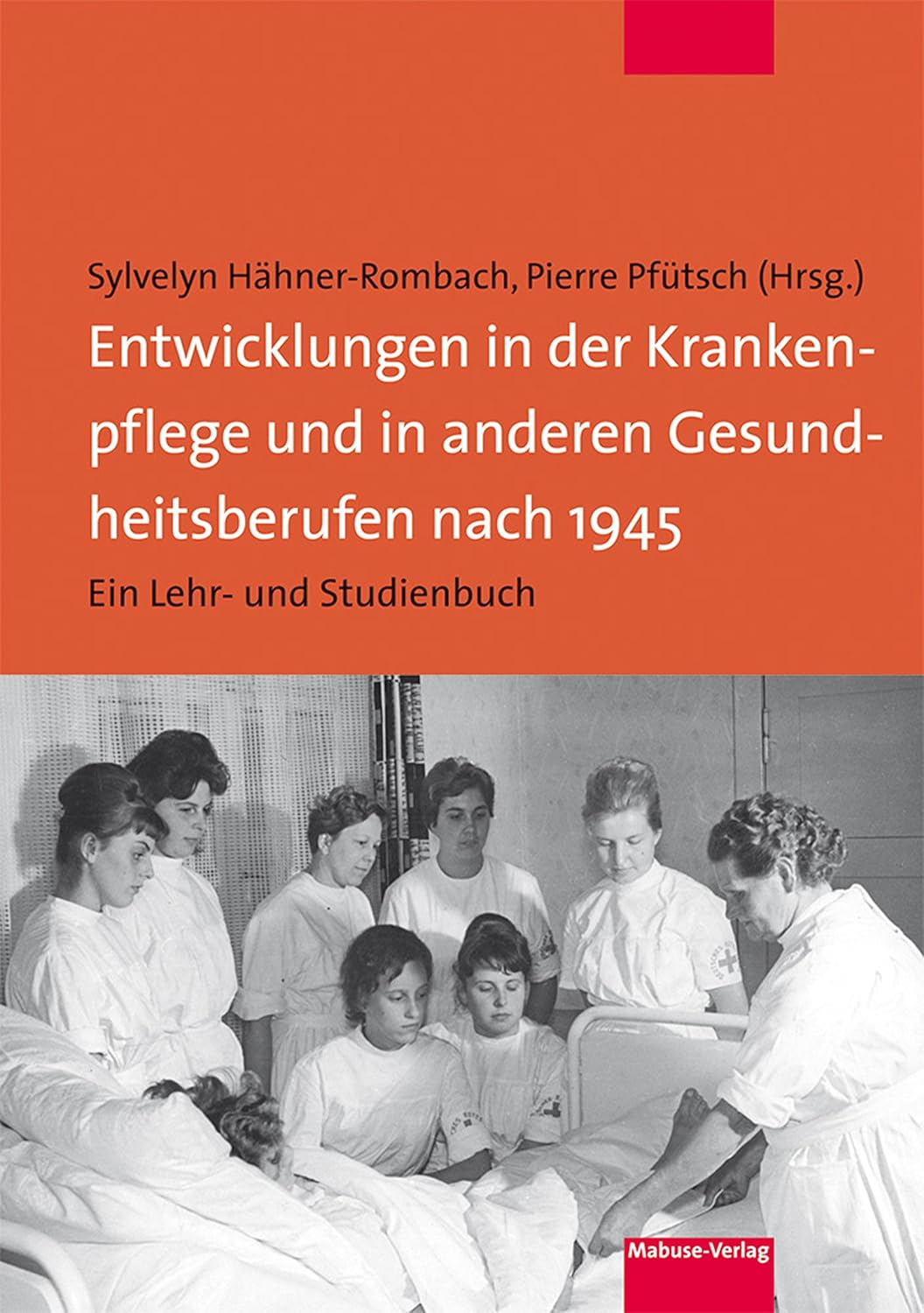 Entwicklungen in der Krankenpflege und in anderen Gesundheitsberufen nach 1945: Ein Lehr- und Studienbuch (German Edition) (Original PDF from Publisher)