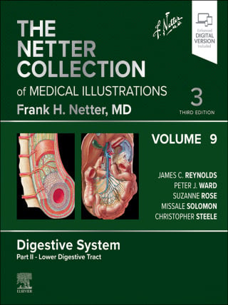 The Netter Collection of Medical Illustrations: Digestive System, Volume 9, Part II – Lower Digestive Tract, 3rd Edition (Original PDF from Publisher)