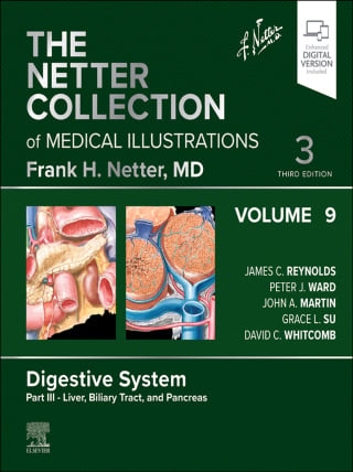The Netter Collection of Medical Illustrations: Digestive System, Volume 9, Part III – Liver, Biliary Tract, and Pancreas, 3rd Edition (Original PDF from Publisher)