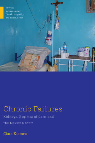 Chronic Failures (EPUB)