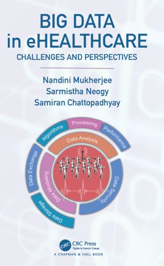 Big Data in ehealthcare (EPUB)