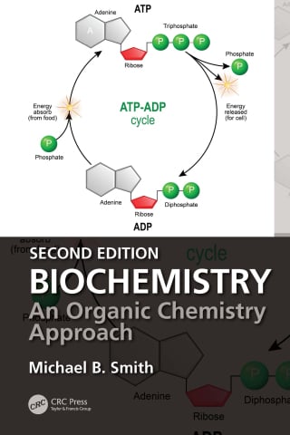 Biochemistry, 2nd Edition (Original PDF from Publisher)