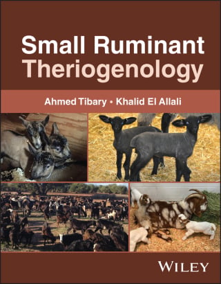 Small Ruminant Theriogenology (Original PDF from Publisher)