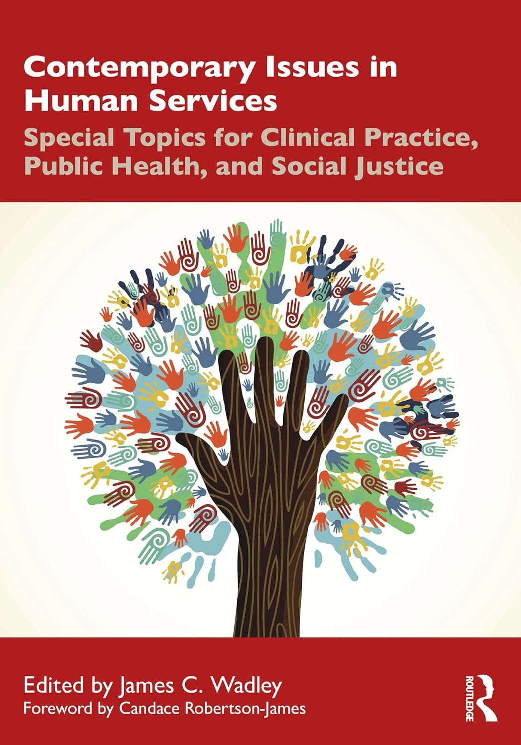 Contemporary Issues in Human Services: Special Topics for Clinical Practice, Public Health, and Social Justice (Original PDF from Publisher)