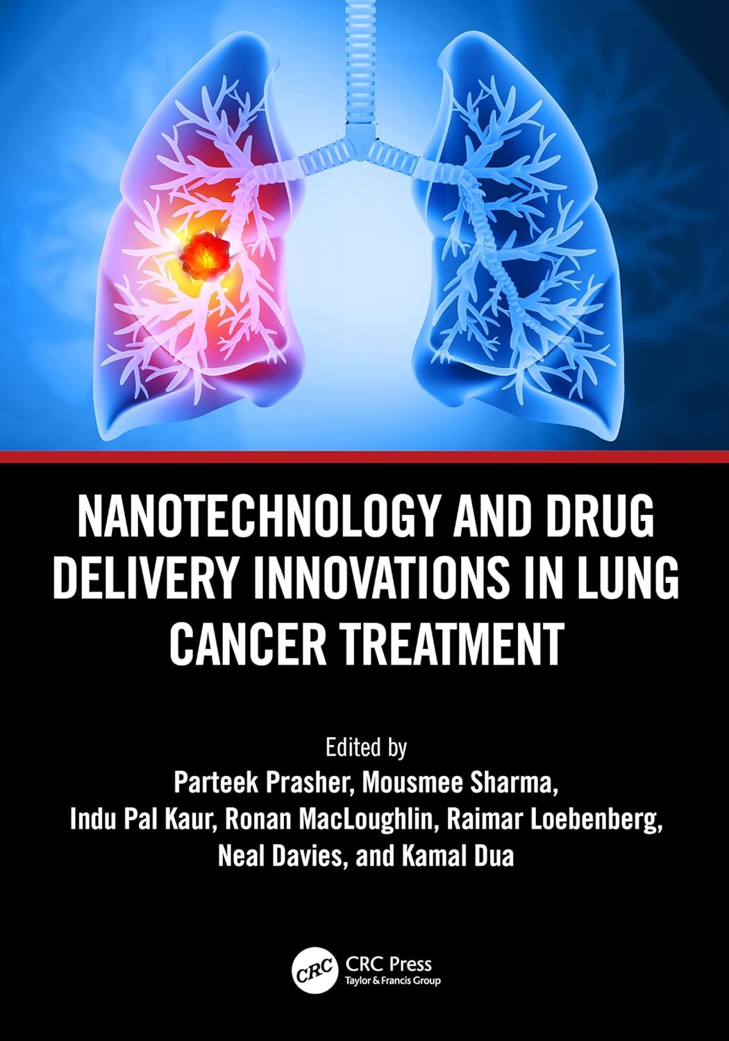 Nanotechnology and Drug Delivery Innovations in Lung Cancer Treatment (Original PDF from Publisher)