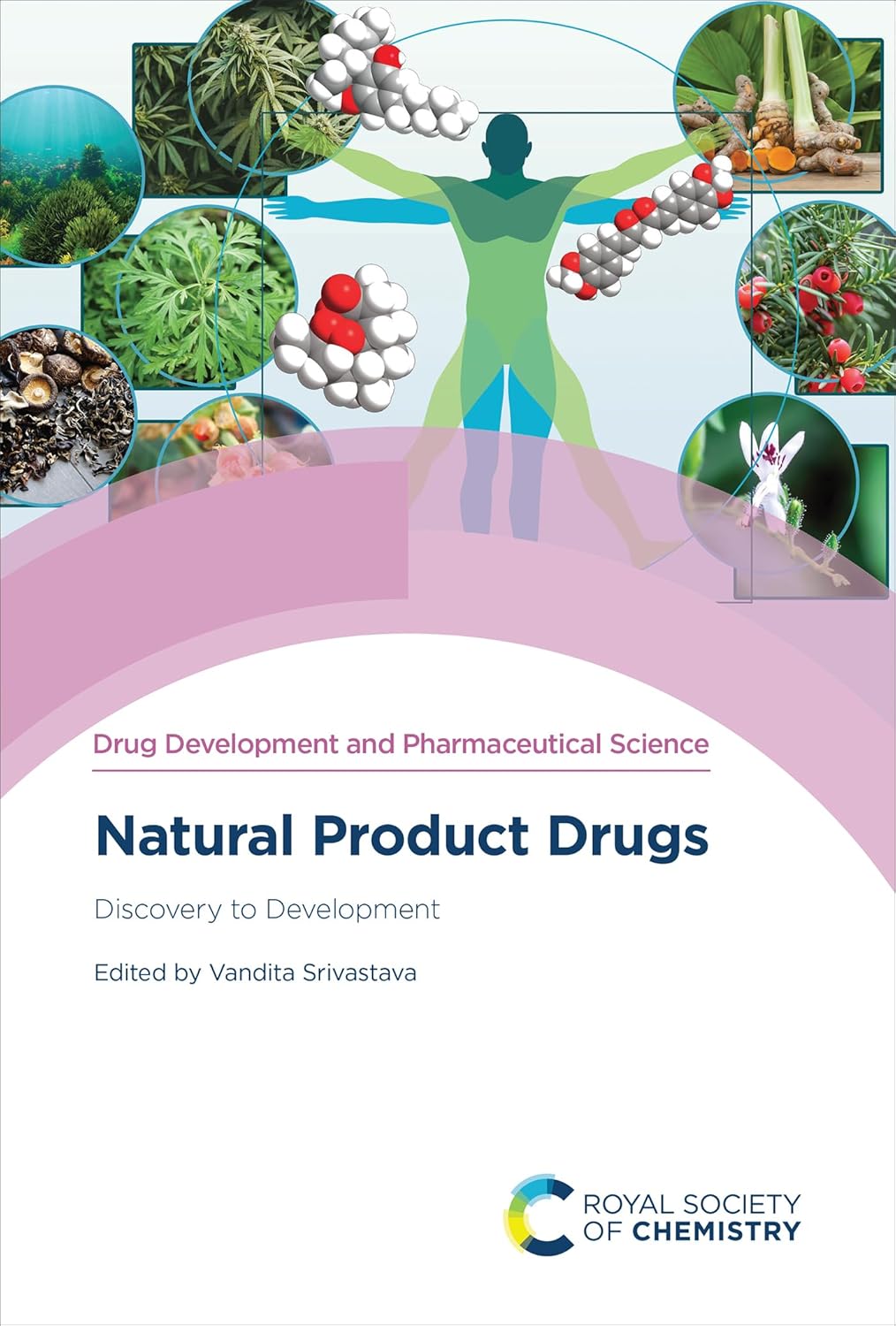 Natural Product Drugs: Discovery to Development (EPUB)