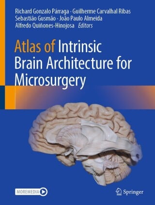 Atlas of Intrinsic Brain Architecture for Microsurgery (Original PDF from Publisher)