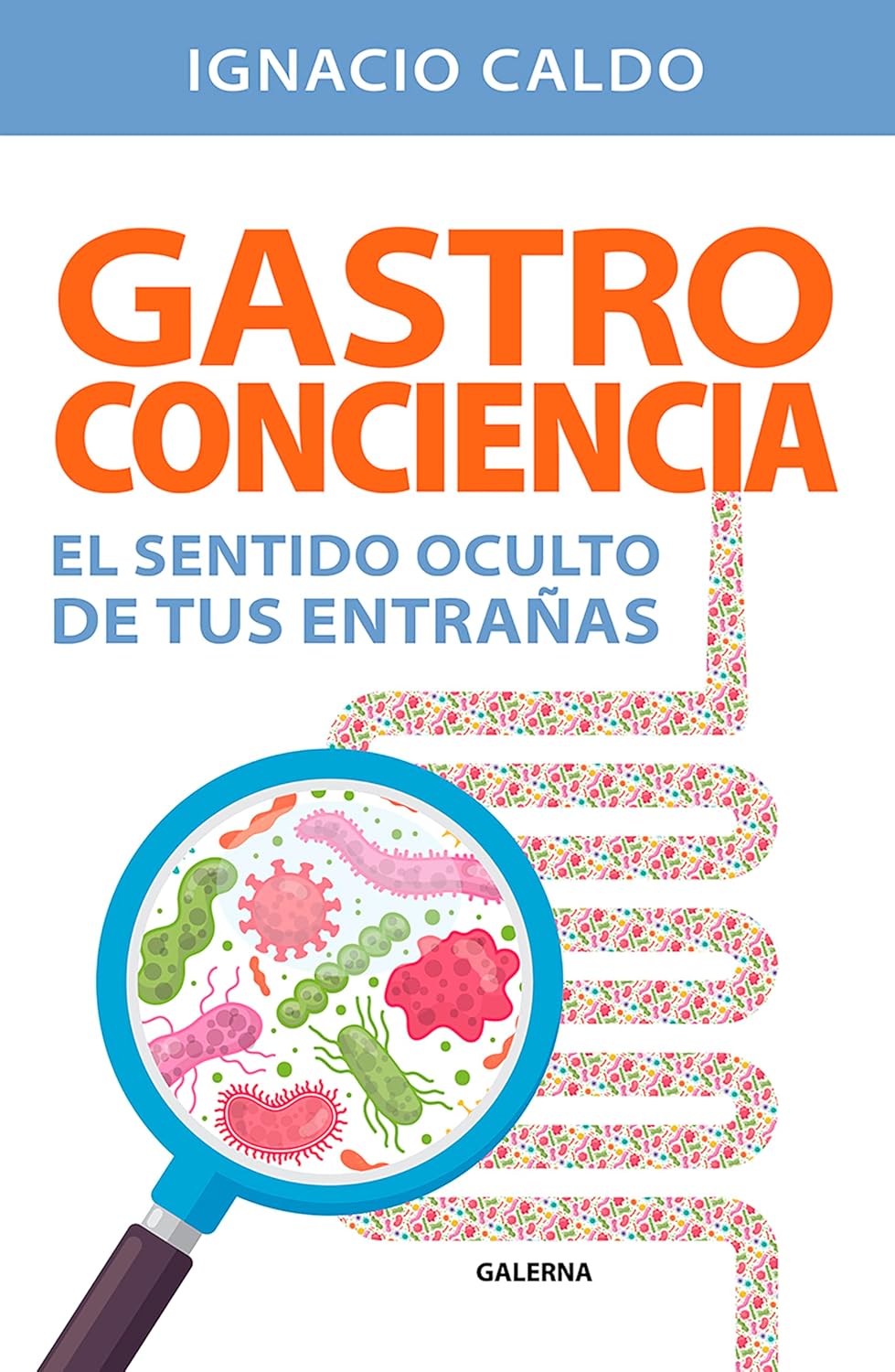 Gastroconciencia: El sentido oculto de tus entrañas (Spanish Edition) (EPUB)
