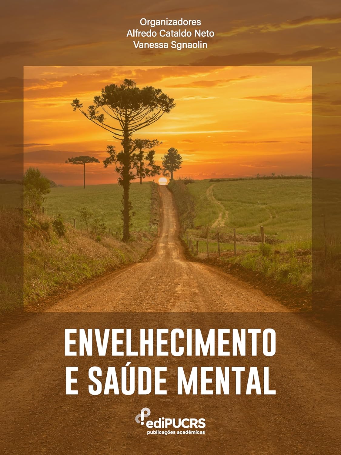 Envelhecimento e saúde mental (Portuguese Edition) (EPUB)