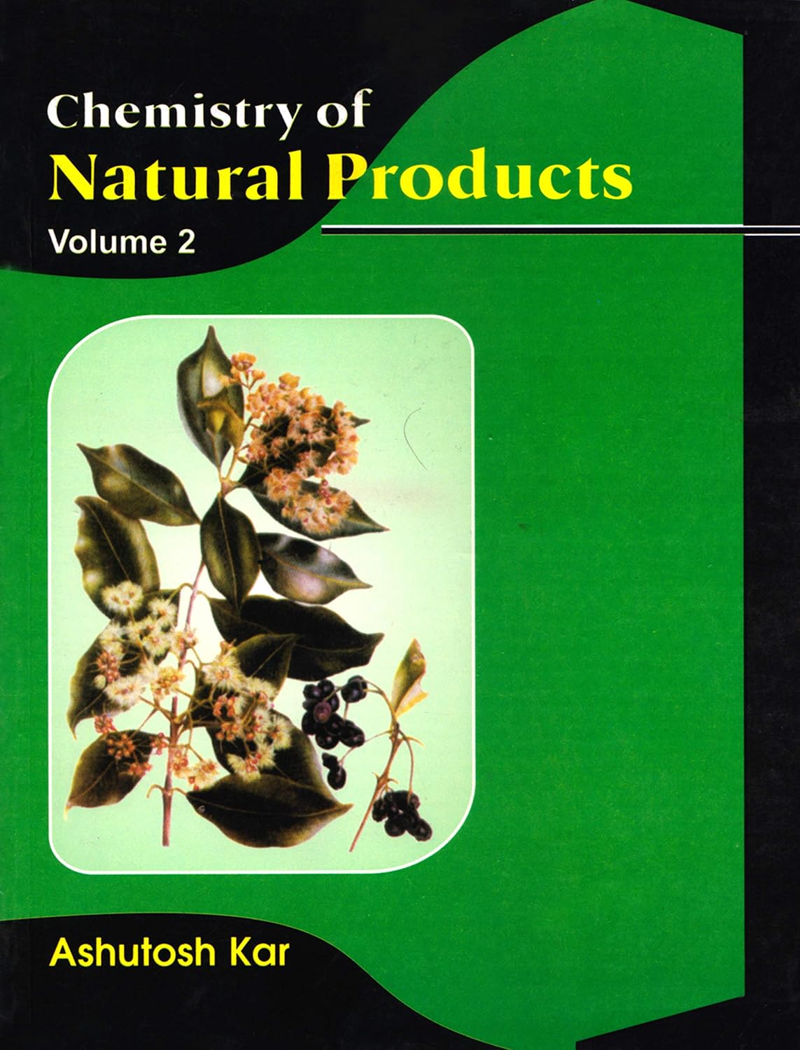 Chemistry of Natural Products, Vol. II: Volume 2 (Original PDF from Publisher)