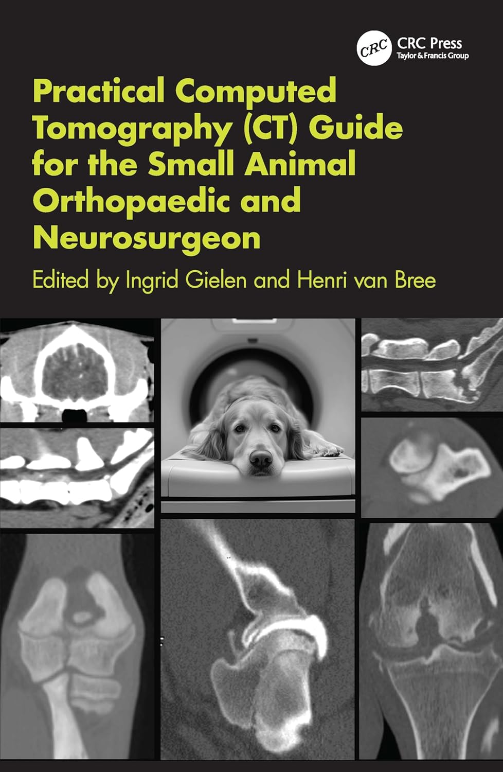 Practical Computed Tomography (CT) Guide for the Small Animal Orthopaedic and Neurosurgeon (EPUB)