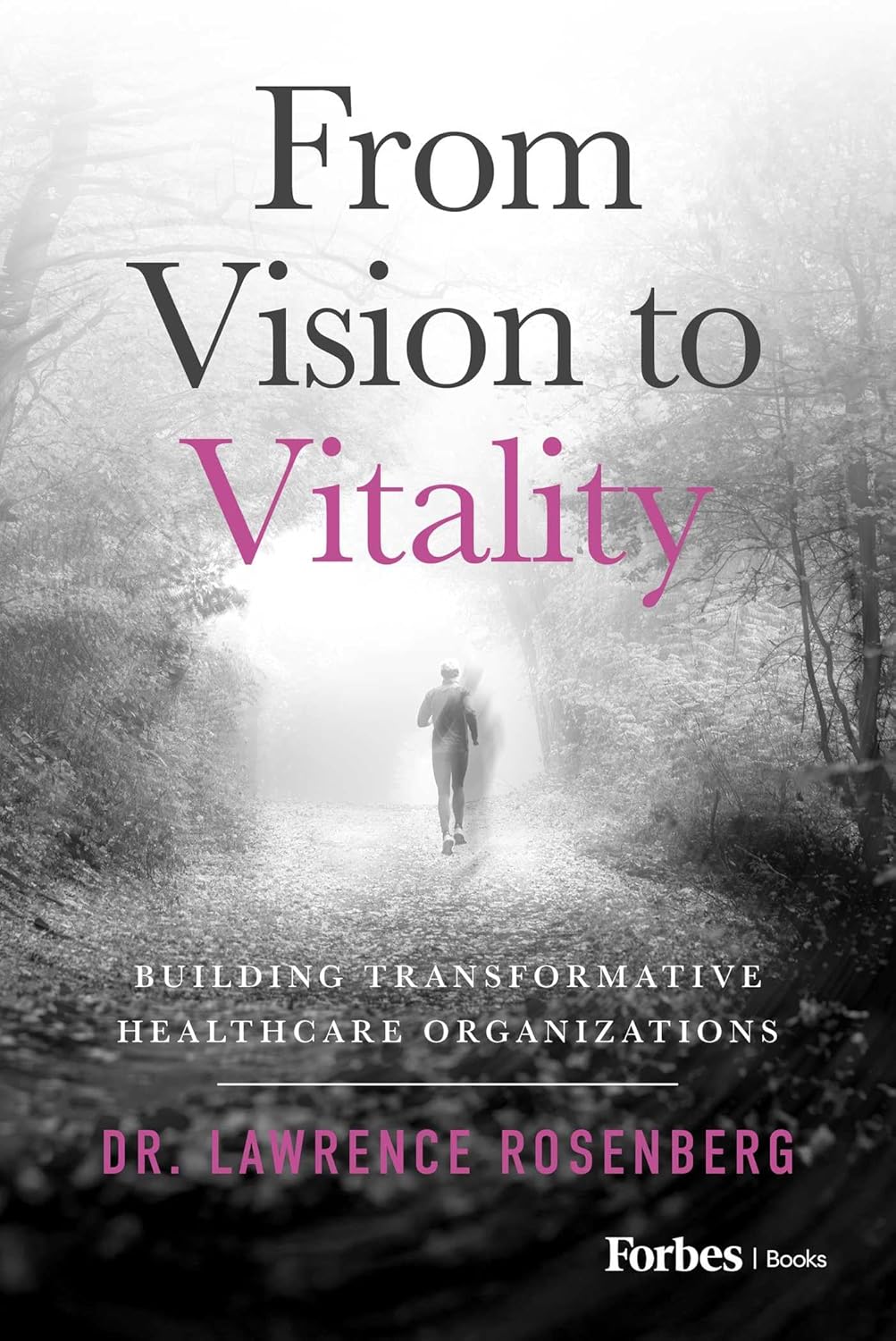 From Vision to Vitality: Building Transformative Healthcare Organizations (EPUB)