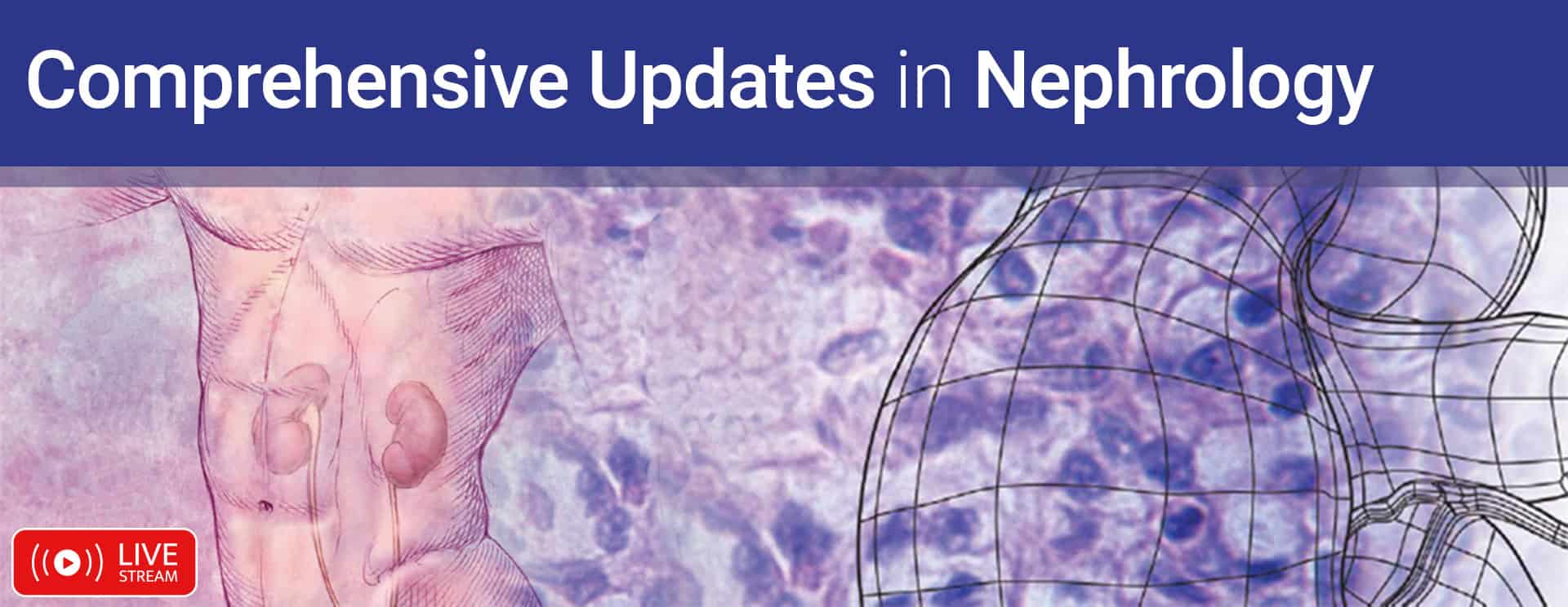 Harvard Comprehensive Updates in Nephrology 2026 (Videos + PDFs)