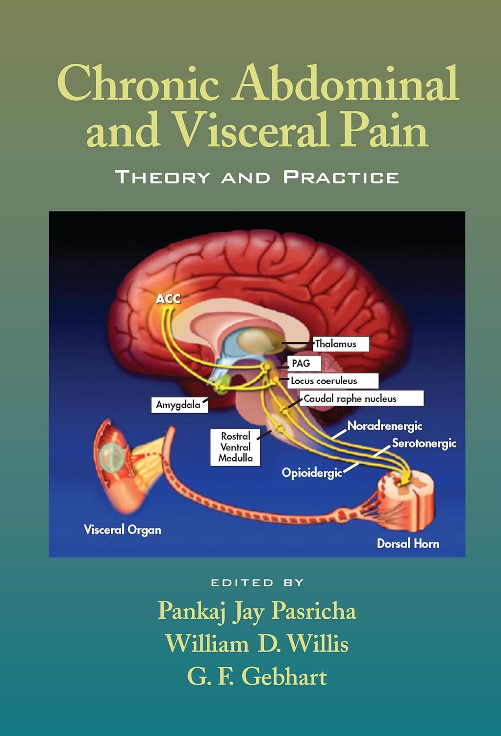 Chronic Abdominal and Visceral Pain: Theory and Practice (Original PDF from Publisher)