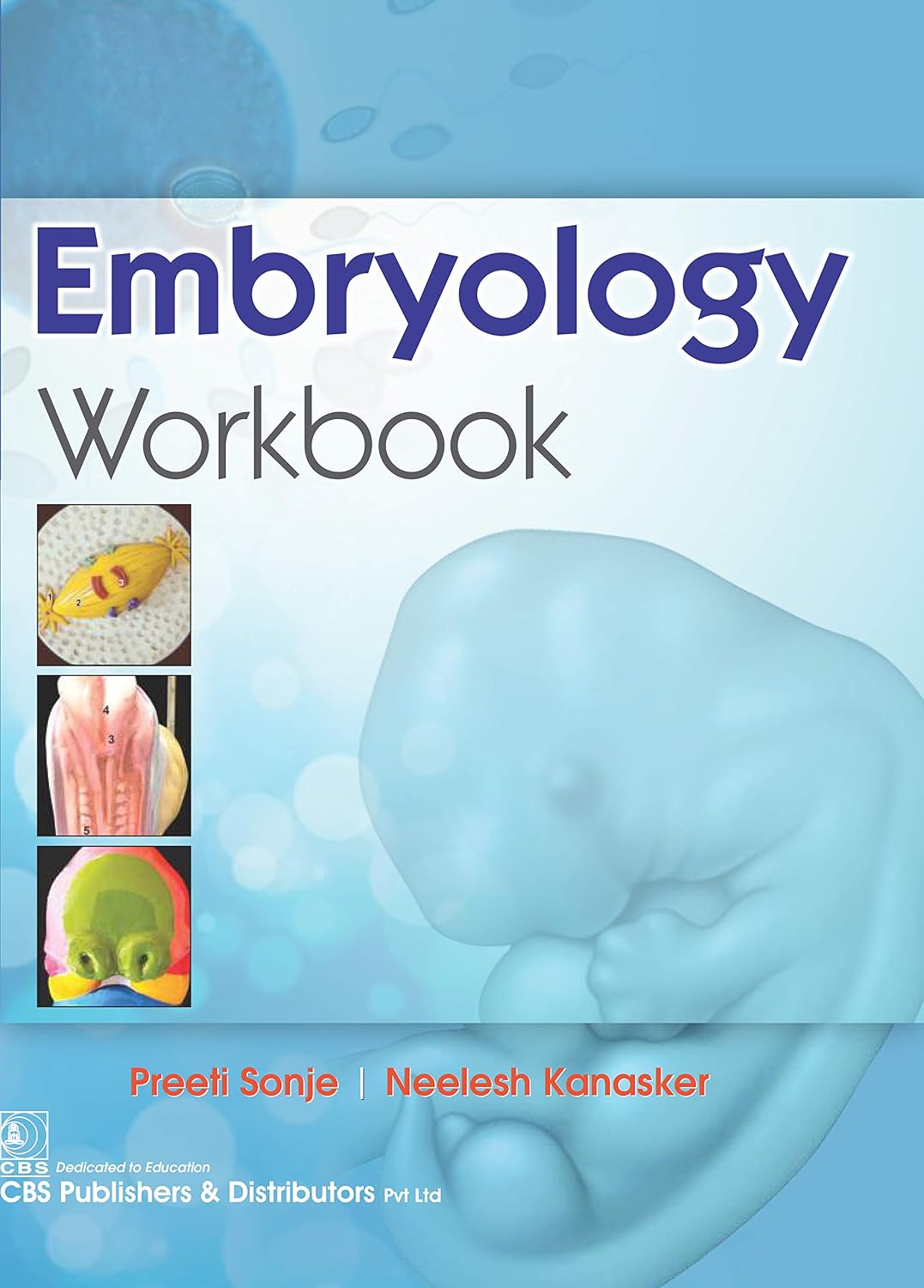 Embryology Workbook (Original PDF from Publisher)
