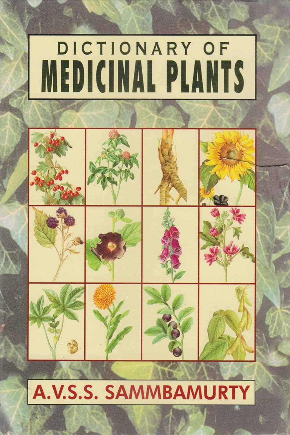 Dictionary of Medical Plant (EPUB)